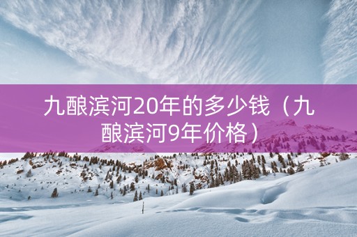 九酿滨河20年的多少钱（九酿滨河9年价格）