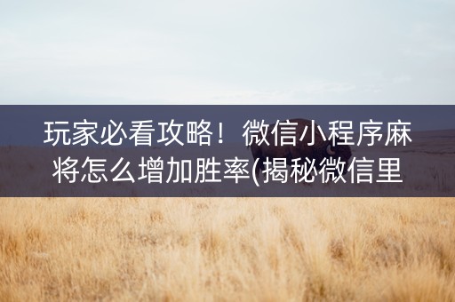 玩家必看攻略！微信小程序麻将怎么增加胜率(揭秘微信里怎么容易赢)