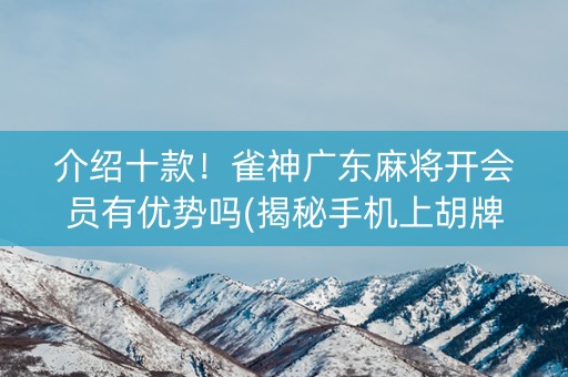 介绍十款！雀神广东麻将开会员有优势吗(揭秘手机上胡牌技巧)