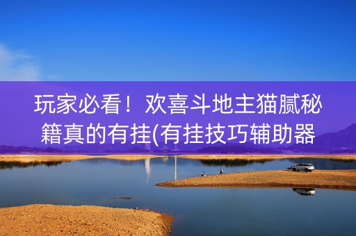 玩家必看！欢喜斗地主猫腻秘籍真的有挂(有挂技巧辅助器)