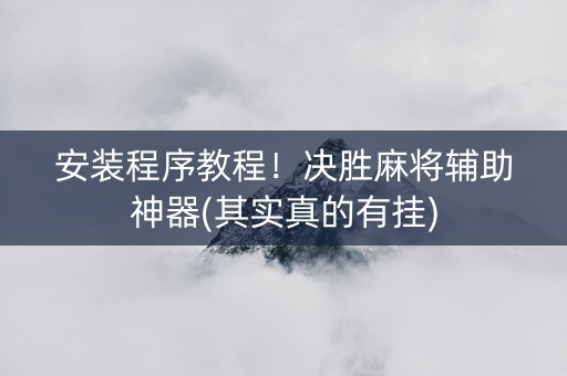 安装程序教程！决胜麻将辅助神器(其实真的有挂)