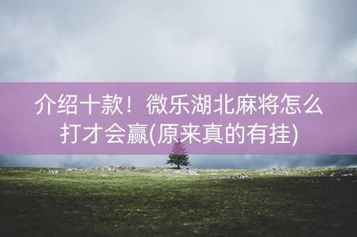 介绍十款！微乐湖北麻将怎么打才会赢(原来真的有挂)