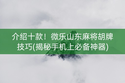 介绍十款！微乐山东麻将胡牌技巧(揭秘手机上必备神器)