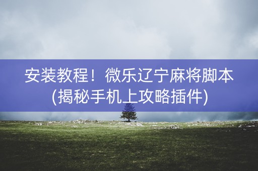 安装教程！微乐辽宁麻将脚本(揭秘手机上攻略插件)