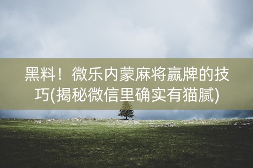黑料！微乐内蒙麻将赢牌的技巧(揭秘微信里确实有猫腻)