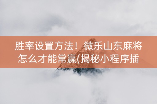 胜率设置方法！微乐山东麻将怎么才能常赢(揭秘小程序插件购买)