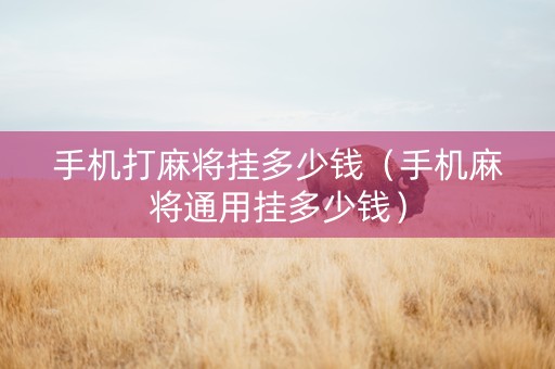 手机打麻将挂多少钱（手机麻将通用挂多少钱）