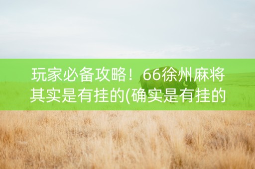 玩家必备攻略！66徐州麻将其实是有挂的(确实是有挂的)