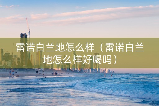 雷诺白兰地怎么样（雷诺白兰地怎么样好喝吗）