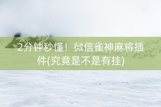 2分钟秒懂！微信雀神麻将插件(究竟是不是有挂)