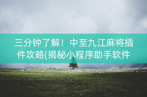 三分钟了解！中至九江麻将插件攻略(揭秘小程序助手软件)