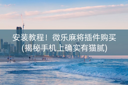 安装教程！微乐麻将插件购买(揭秘手机上确实有猫腻)