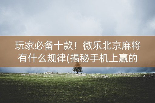 玩家必备十款！微乐北京麻将有什么规律(揭秘手机上赢的秘诀)