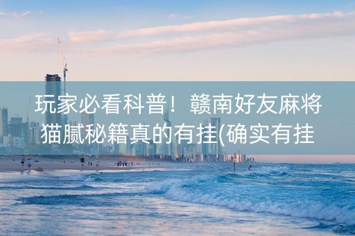 玩家必看科普！赣南好友麻将猫腻秘籍真的有挂(确实有挂)