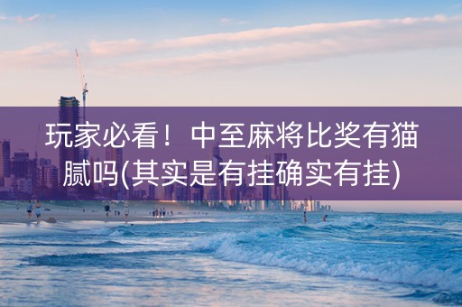 玩家必看！中至麻将比奖有猫腻吗(其实是有挂确实有挂)