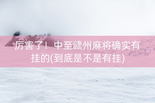 厉害了！中至赣州麻将确实有挂的(到底是不是有挂)