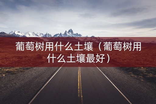 葡萄树用什么土壤（葡萄树用什么土壤最好）