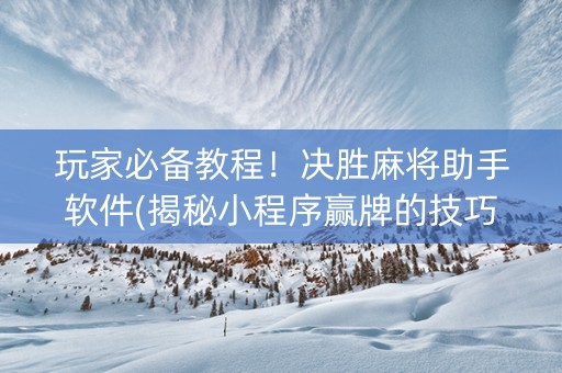 玩家必备教程！决胜麻将助手软件(揭秘小程序赢牌的技巧)