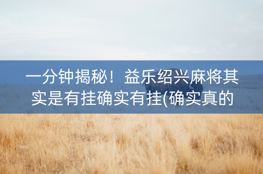 一分钟揭秘！益乐绍兴麻将其实是有挂确实有挂(确实真的有挂)