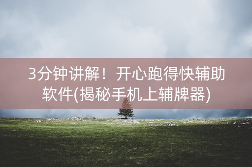 3分钟讲解！开心跑得快辅助软件(揭秘手机上辅牌器)