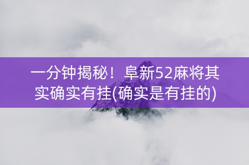 一分钟揭秘！阜新52麻将其实确实有挂(确实是有挂的)
