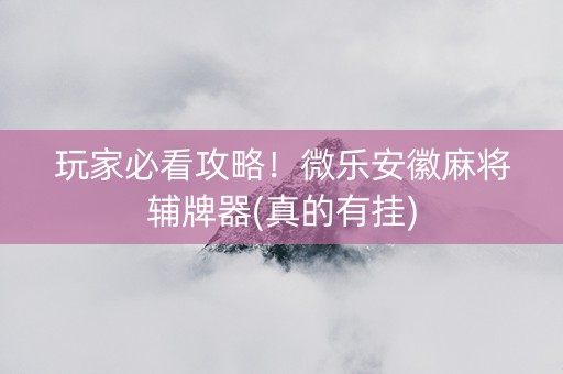 玩家必看攻略！微乐安徽麻将辅牌器(真的有挂)