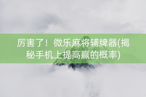厉害了！微乐麻将辅牌器(揭秘手机上提高赢的概率)