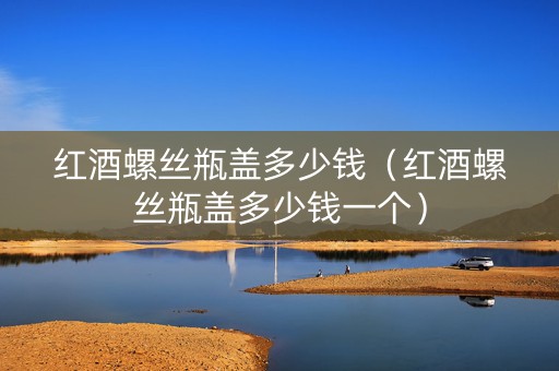 红酒螺丝瓶盖多少钱（红酒螺丝瓶盖多少钱一个）