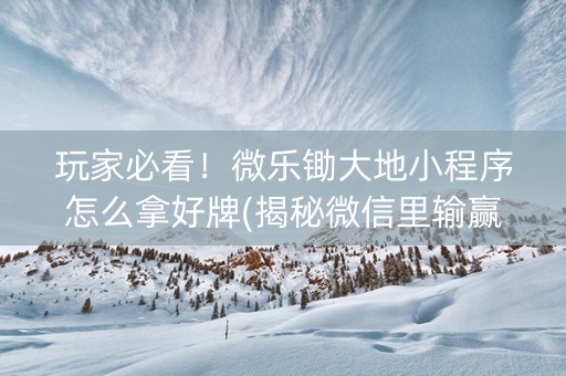 玩家必看！微乐锄大地小程序怎么拿好牌(揭秘微信里输赢规律)