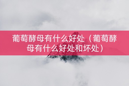 葡萄酵母有什么好处（葡萄酵母有什么好处和坏处）