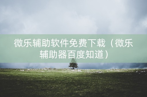 微乐辅助软件免费下载（微乐辅助器百度知道）