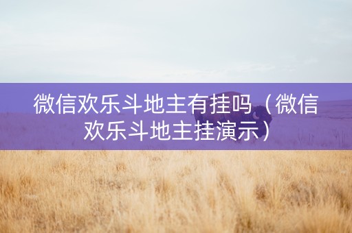 微信欢乐斗地主有挂吗（微信欢乐斗地主挂演示）