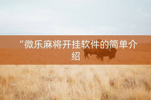 “微乐麻将开挂软件的简单介绍