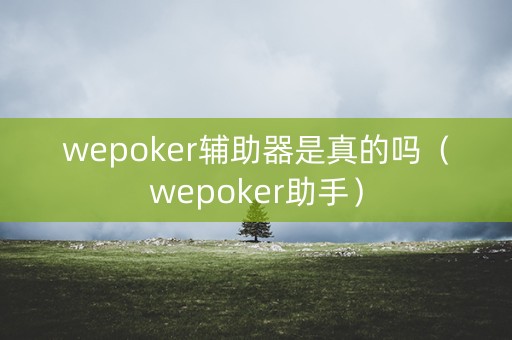 wepoker辅助器是真的吗（wepoker助手）