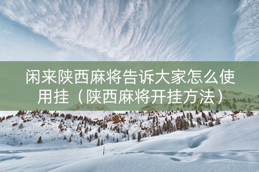 闲来陕西麻将告诉大家怎么使用挂（陕西麻将开挂方法）