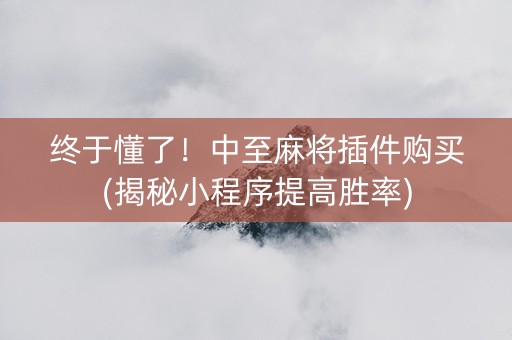 终于懂了！中至麻将插件购买(揭秘小程序提高胜率)