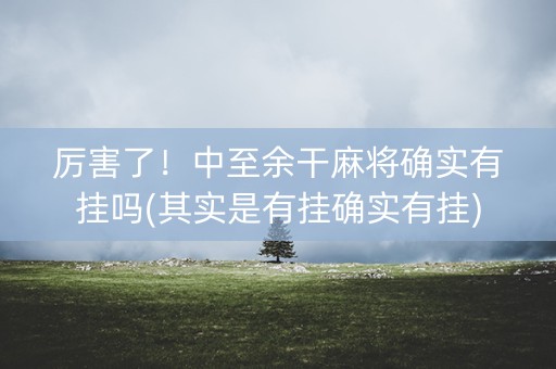 厉害了！中至余干麻将确实有挂吗(其实是有挂确实有挂)