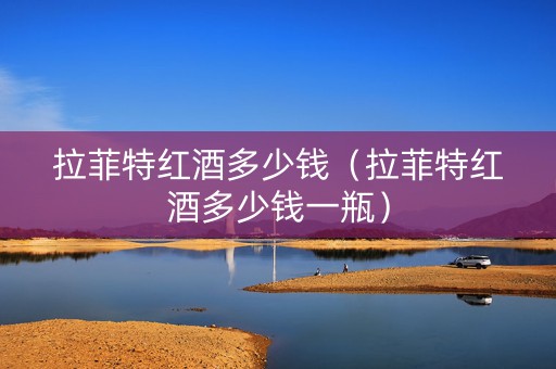拉菲特红酒多少钱（拉菲特红酒多少钱一瓶）