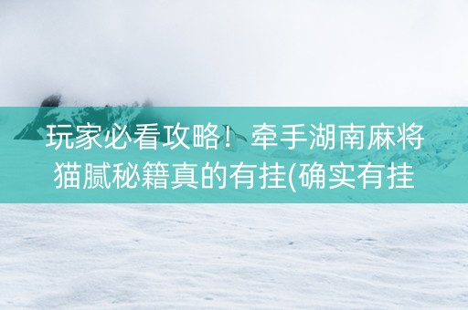 玩家必看攻略！牵手湖南麻将猫腻秘籍真的有挂(确实有挂吗)