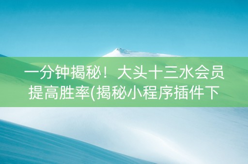 一分钟揭秘！大头十三水会员提高胜率(揭秘小程序插件下载)