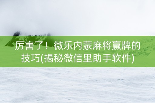 厉害了！微乐内蒙麻将赢牌的技巧(揭秘微信里助手软件)