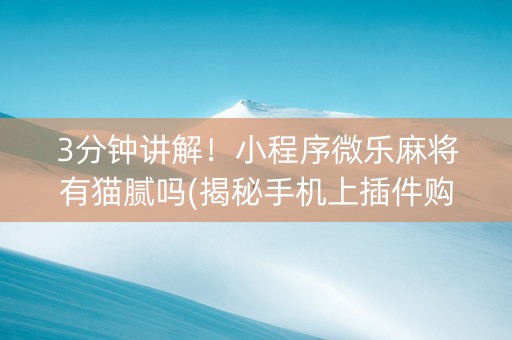 3分钟讲解！小程序微乐麻将有猫腻吗(揭秘手机上插件购买)