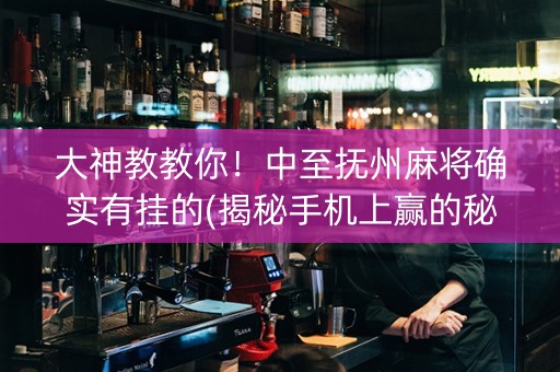大神教教你！中至抚州麻将确实有挂的(揭秘手机上赢的秘诀)