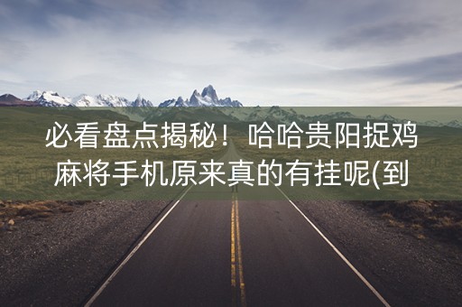 必看盘点揭秘！哈哈贵阳捉鸡麻将手机原来真的有挂呢(到底是不是有挂)