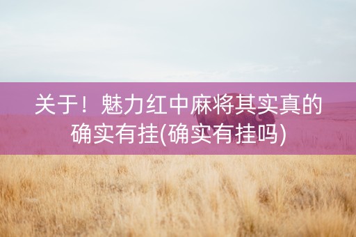 关于！魅力红中麻将其实真的确实有挂(确实有挂吗)