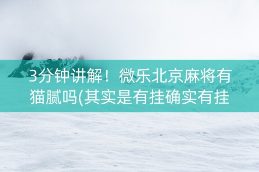 3分钟讲解！微乐北京麻将有猫腻吗(其实是有挂确实有挂)