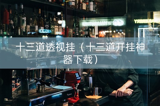十三道透视挂（十三道开挂神器下载）