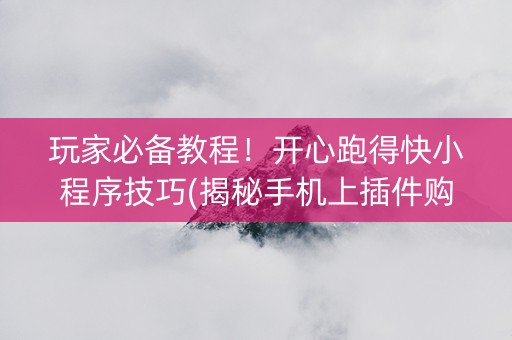 玩家必备教程！开心跑得快小程序技巧(揭秘手机上插件购买)