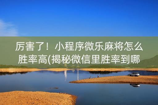 厉害了！小程序微乐麻将怎么胜率高(揭秘微信里胜率到哪调)