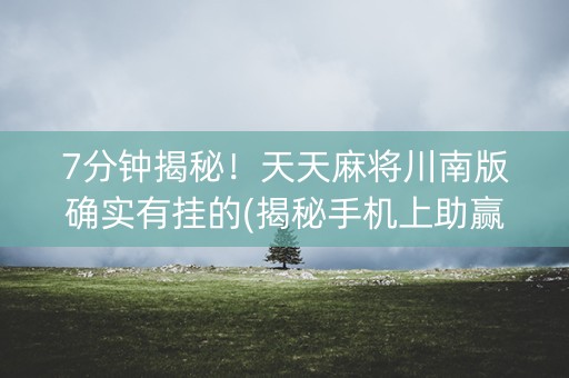 7分钟揭秘！天天麻将川南版确实有挂的(揭秘手机上助赢软件)